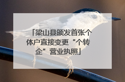梁山县颁发首张个体户直接变更“个转企”营业执照